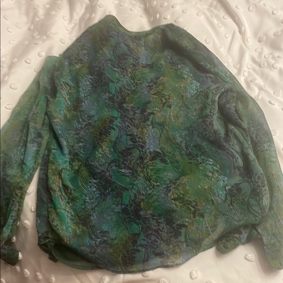 Coldwater Creek Green Ruffled Long Sleeve Blouse - Picture 3 of 4